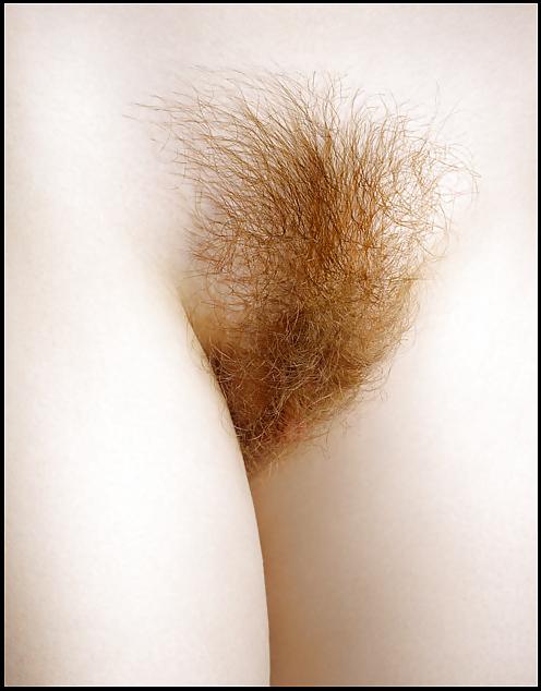 20P Hairy Teens