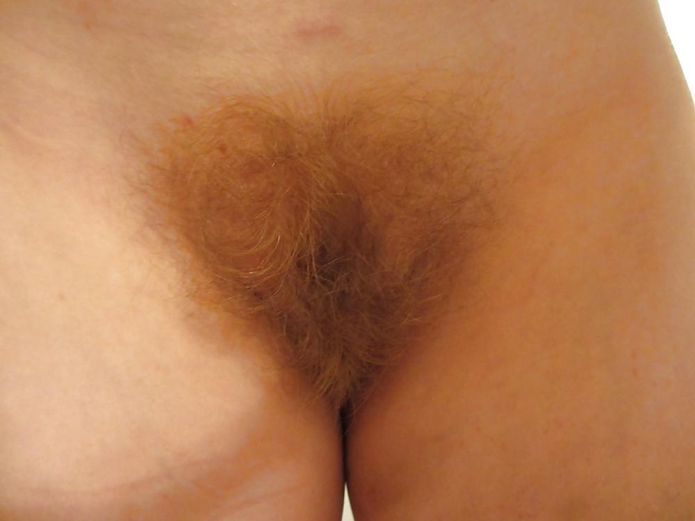 25P Hairy pussies 6