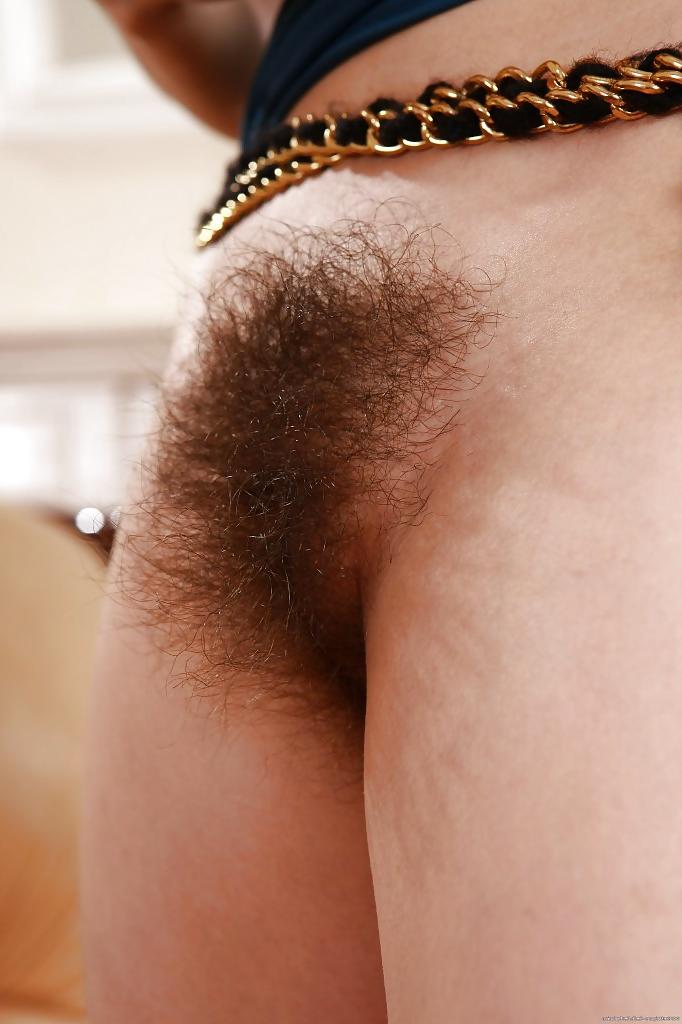 20P Thick Hairy Bush Close UPS