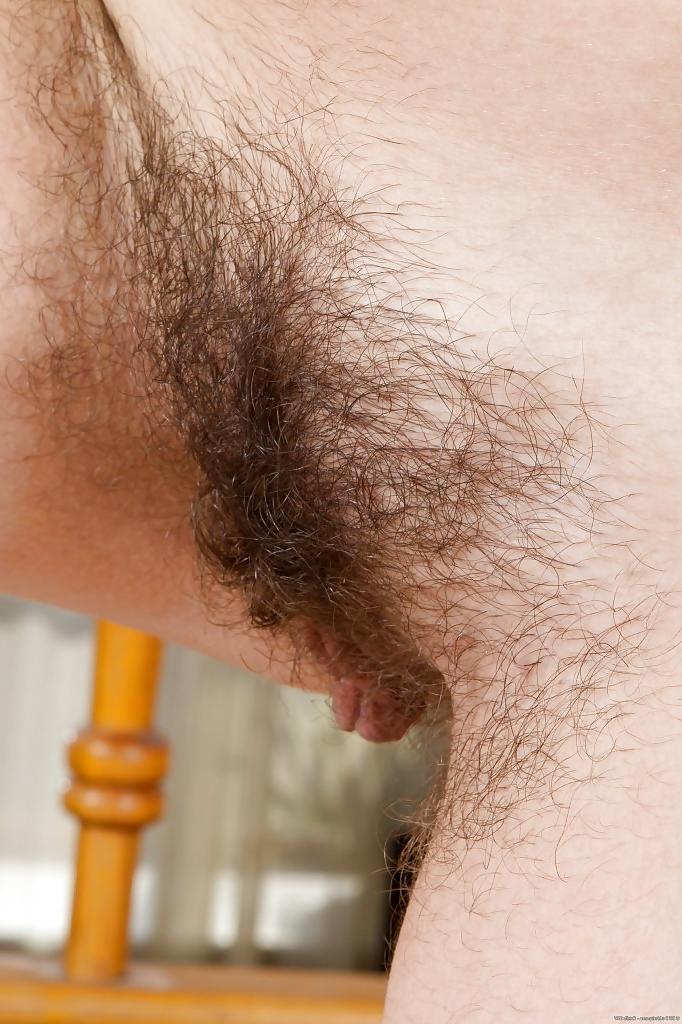20P Thick Hairy Bush Close UPS