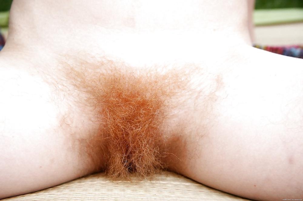 20P Thick Hairy Bush Close UPS