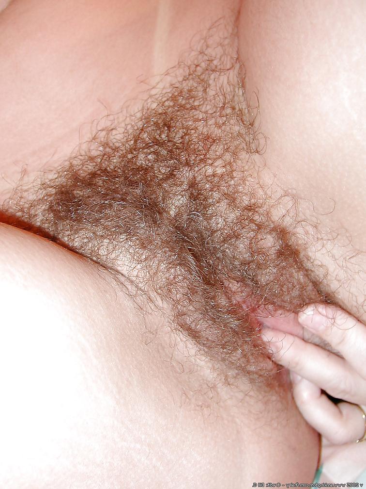 11P Hairy Bush close ups