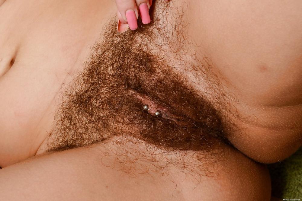 11P Hairy Bush close ups