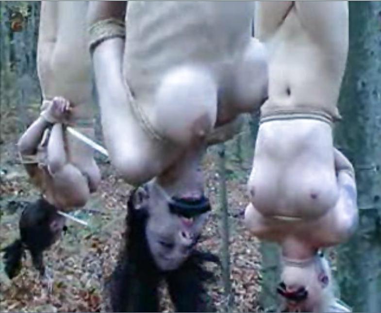 25P BDSM  EXCLUSIVES 