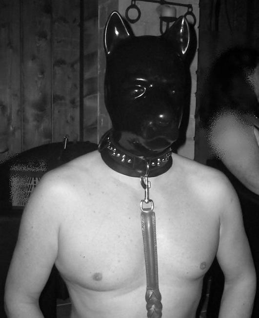 12P My Latex faible