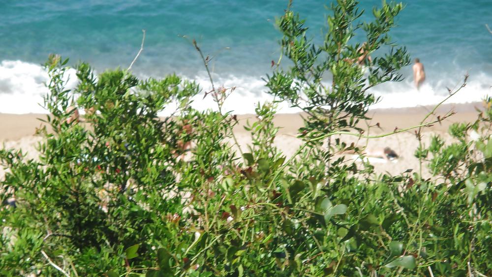 12P Barchelona Nudist Beaches