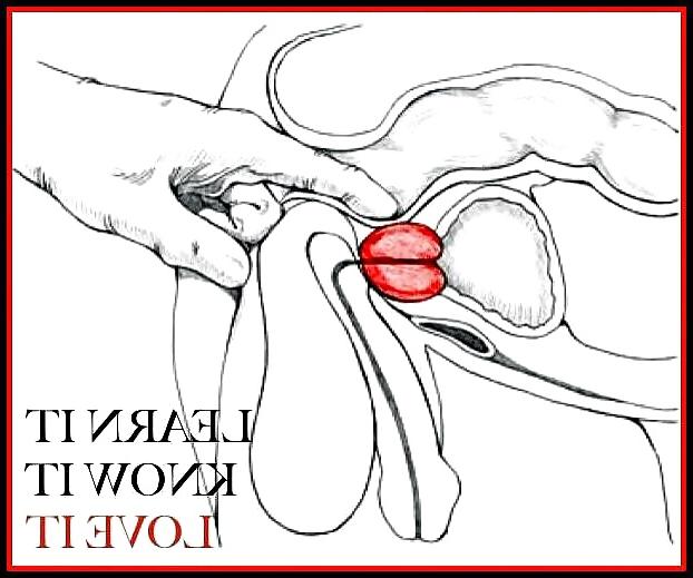 10P Aneros - massage de la prostate - Prostate massage