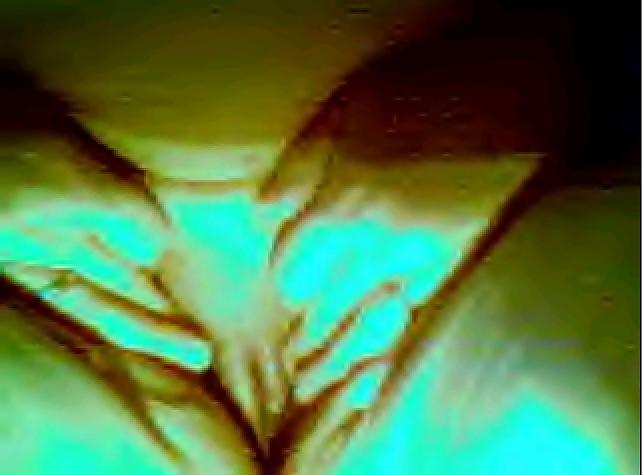 25P Webcam granny 2