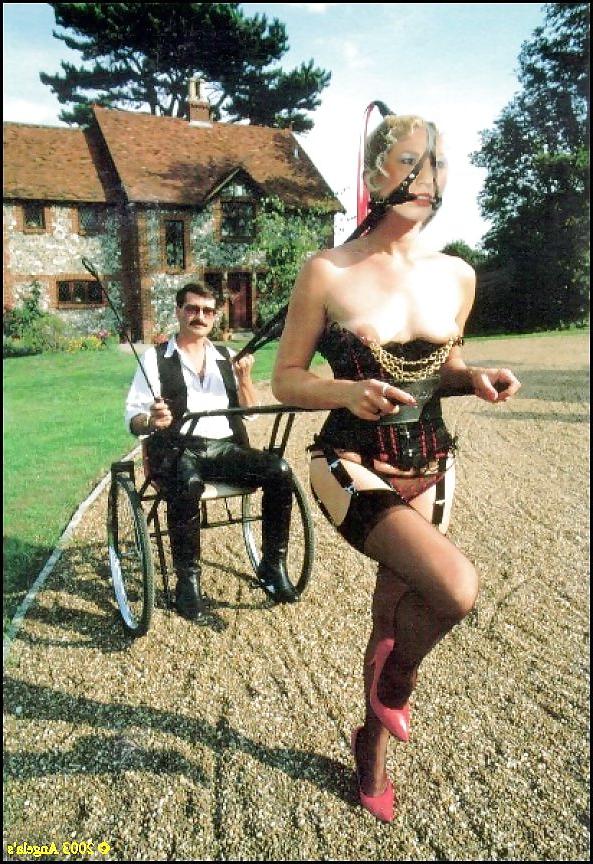 19P BDSM