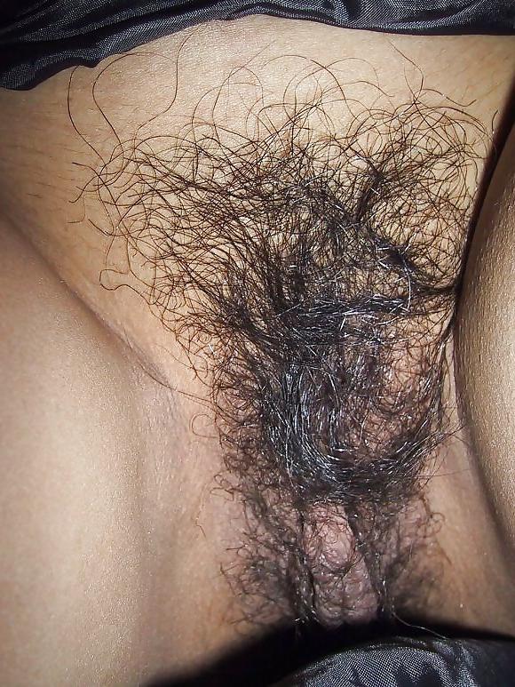 24P Hairy Japanese Pussy