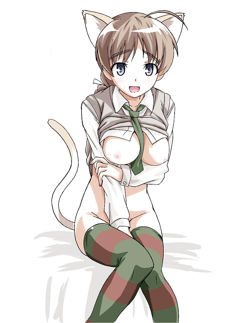 25P Cat fox wolf bunny ear hentai