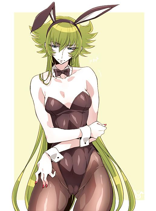 25P Cat fox wolf bunny ear hentai