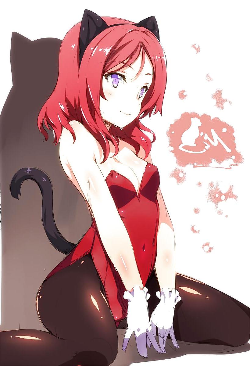 25P Cat fox wolf bunny ear hentai