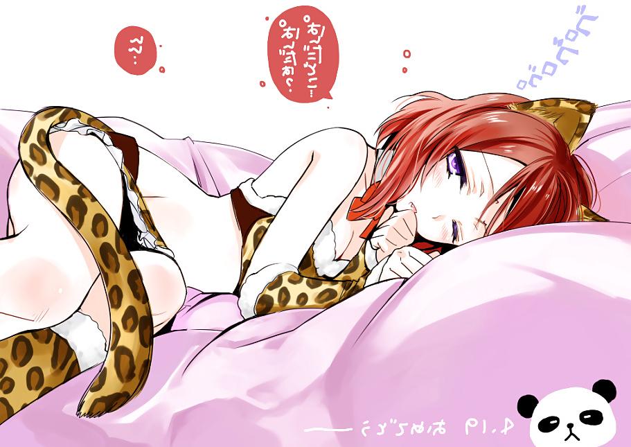 25P Cat fox wolf bunny ear hentai