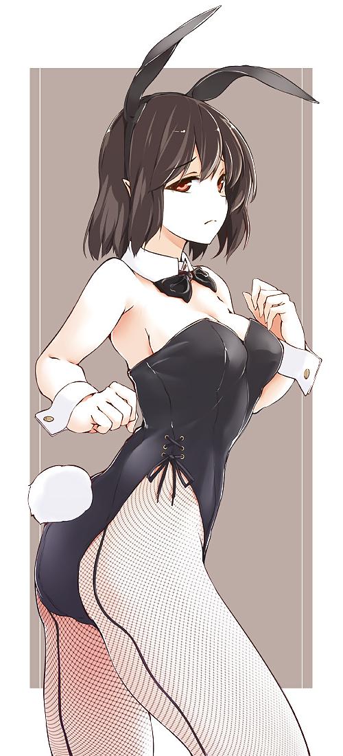 25P Cat fox wolf bunny ear hentai