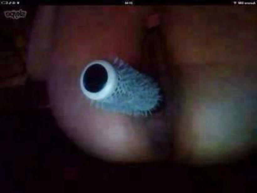 23P Dounia fatale salope de tess