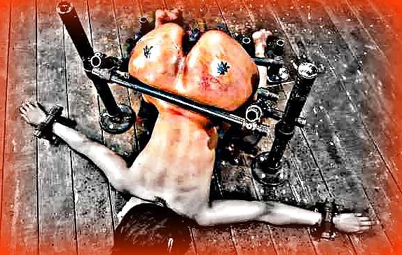 25P BDSM Fuck Dolls