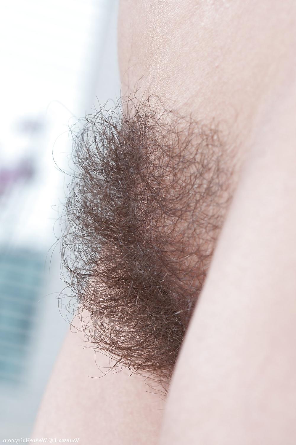 20P Mature hairy women