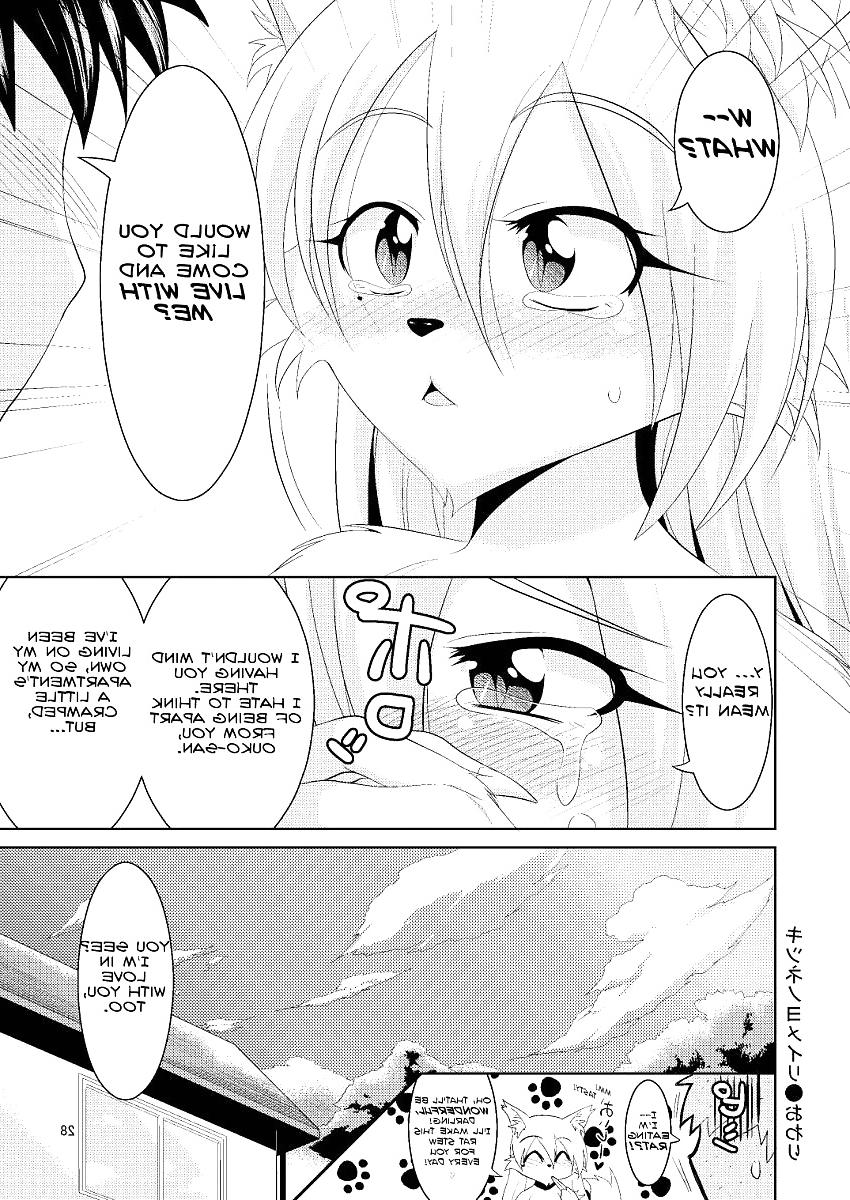 25P Doujin furry - Fox's wedding