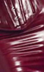 5P Latex Vol 2