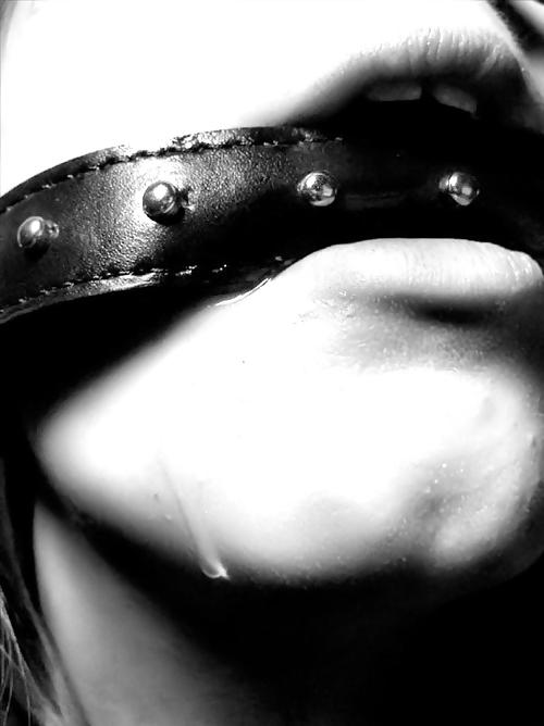 15P Found: bdsm 6