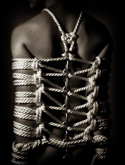 18P My BDSM Collection