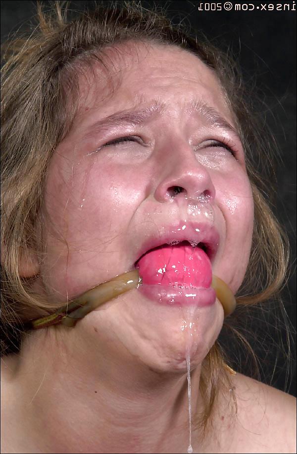 23P BDSM 