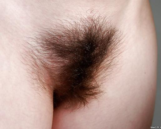 25P Hairy bush close-up