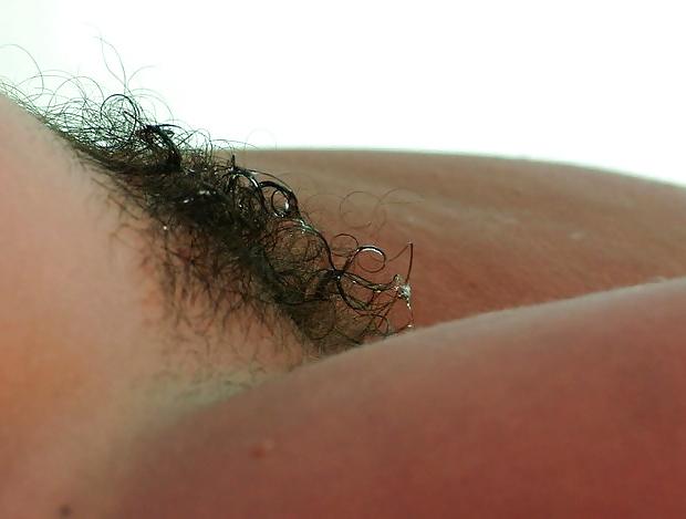 25P Hairy bush close-up