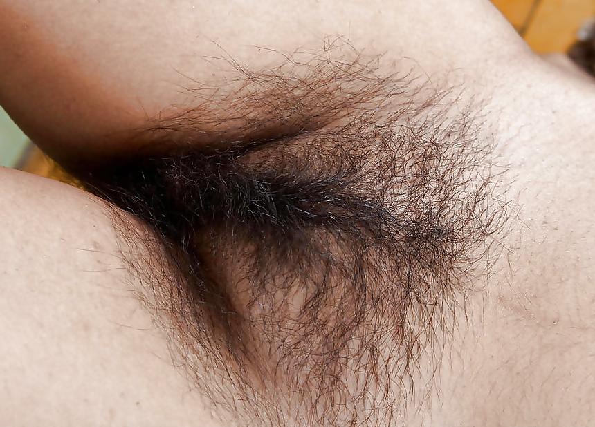 25P Hairy bush close-up