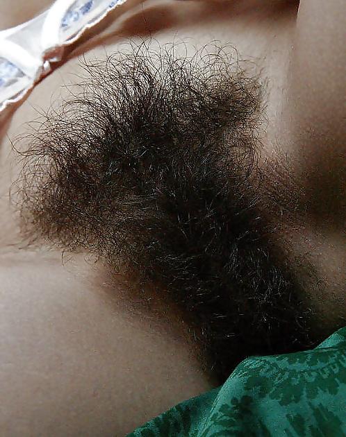 25P Hairy bush close-up