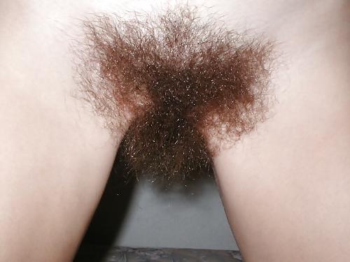 25P Hairy bush close-up