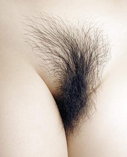 25P Hairy bush close-up