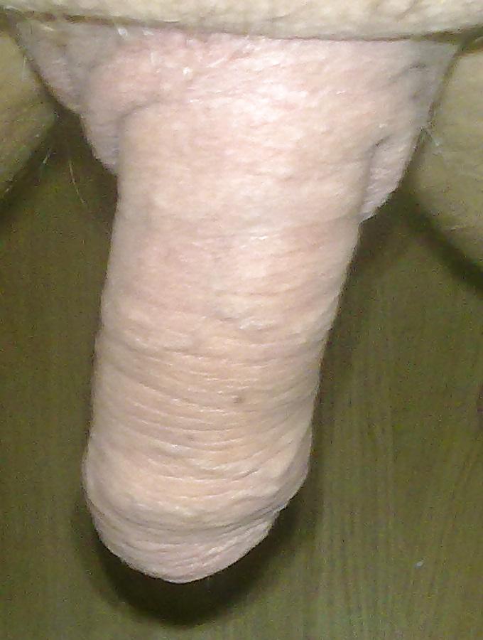 9P NEW PICS OF MY SMAL COCK