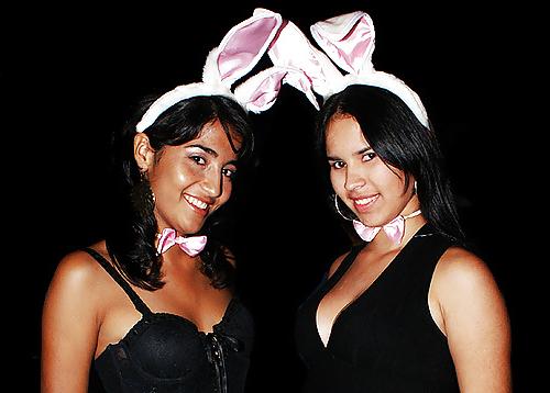 22P Bunny 6!