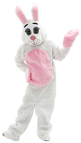 22P Bunny 6!