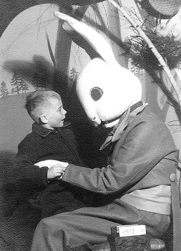 22P Bunny 6!