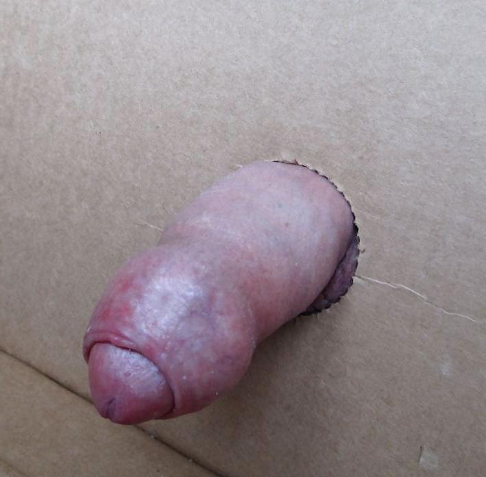 7P WANKING