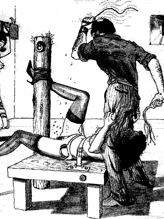 17P BDSM - Torture Draw 02