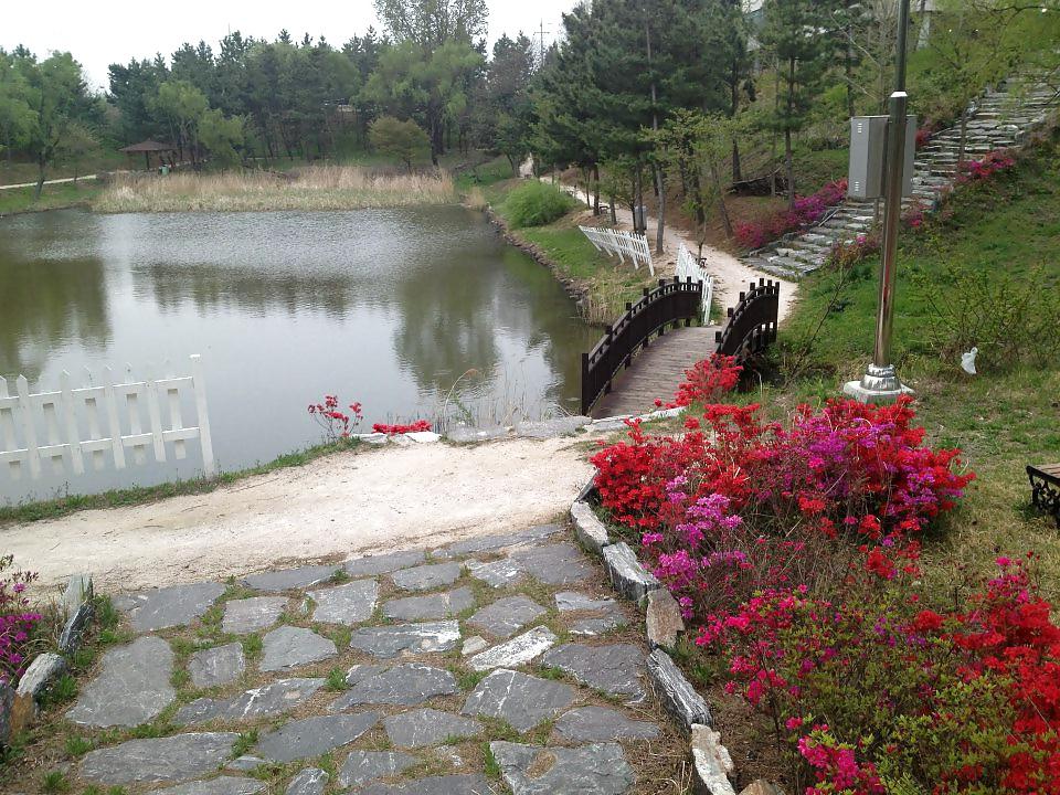 25P On my way to S Korea and some pics while I was there!!!