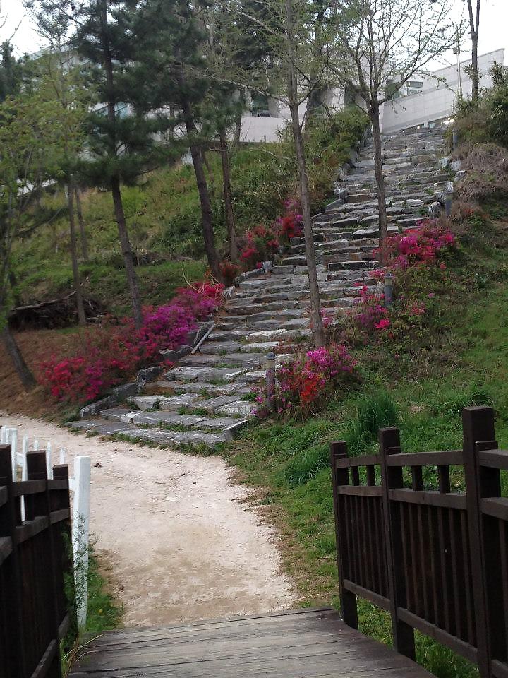 25P On my way to S Korea and some pics while I was there!!!