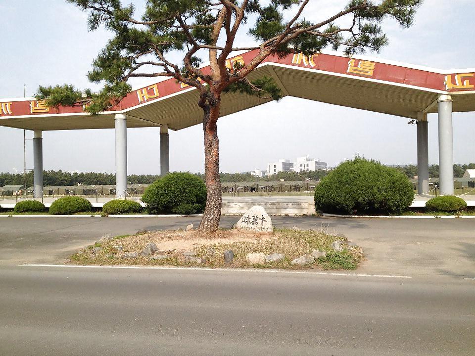 25P On my way to S Korea and some pics while I was there!!!