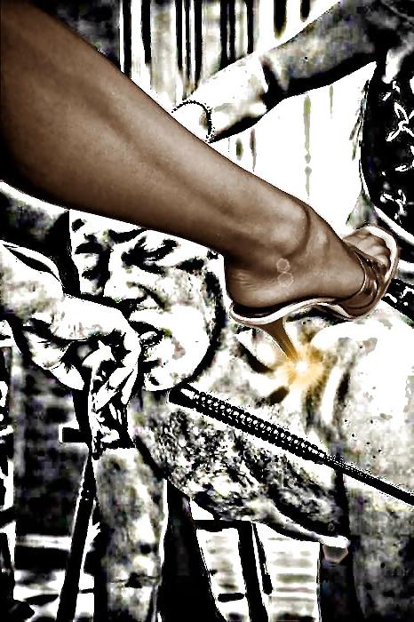 25P Kink Lovers Femdom BDSM Funny