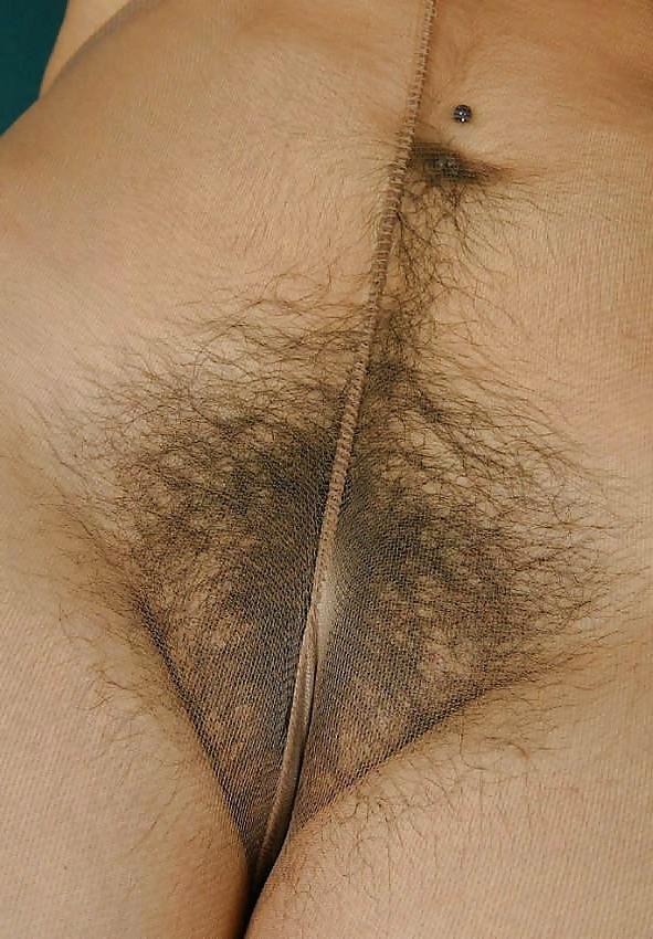 25P Pantyhose Bush II
