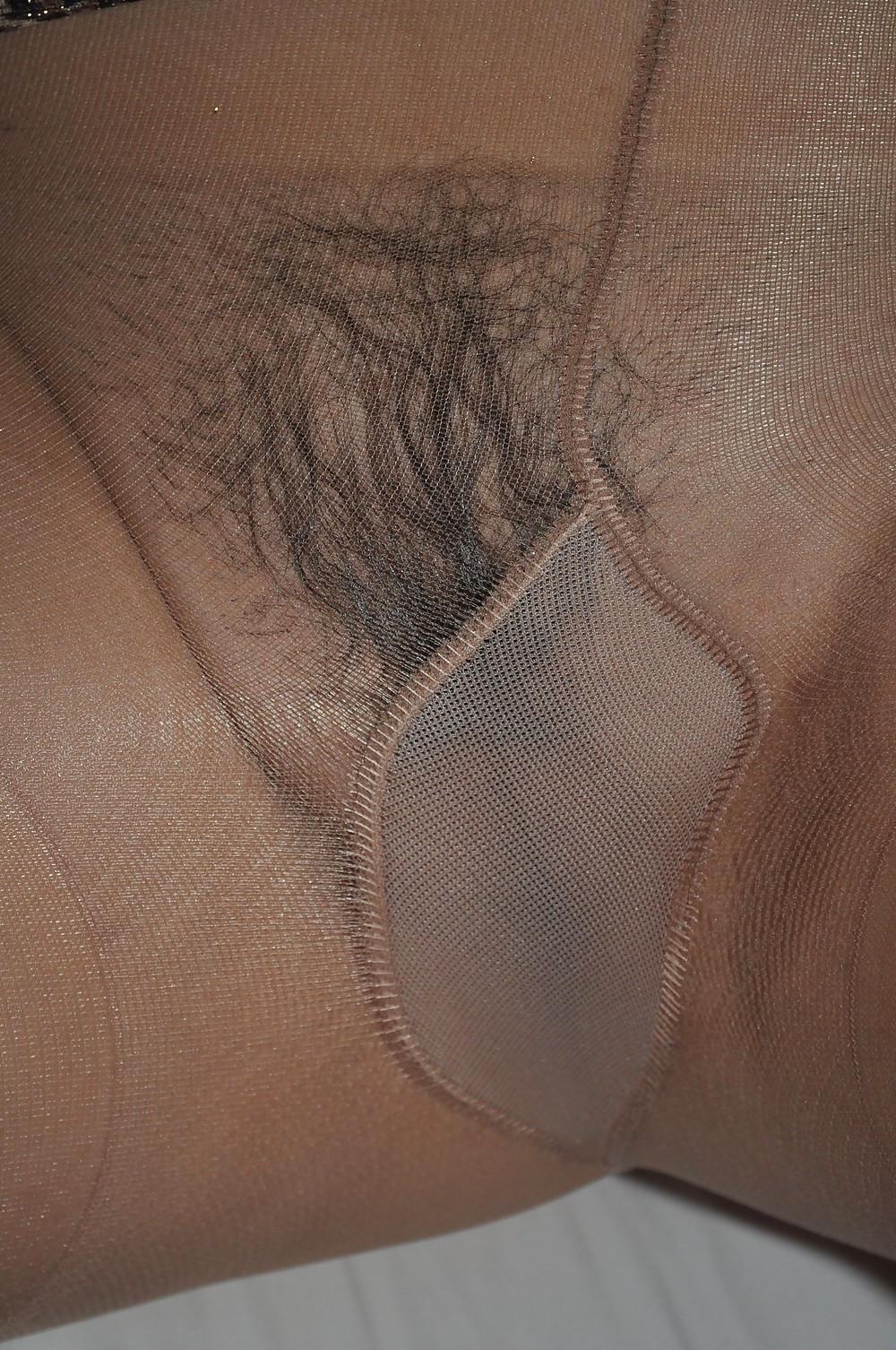 25P Pantyhose Bush II