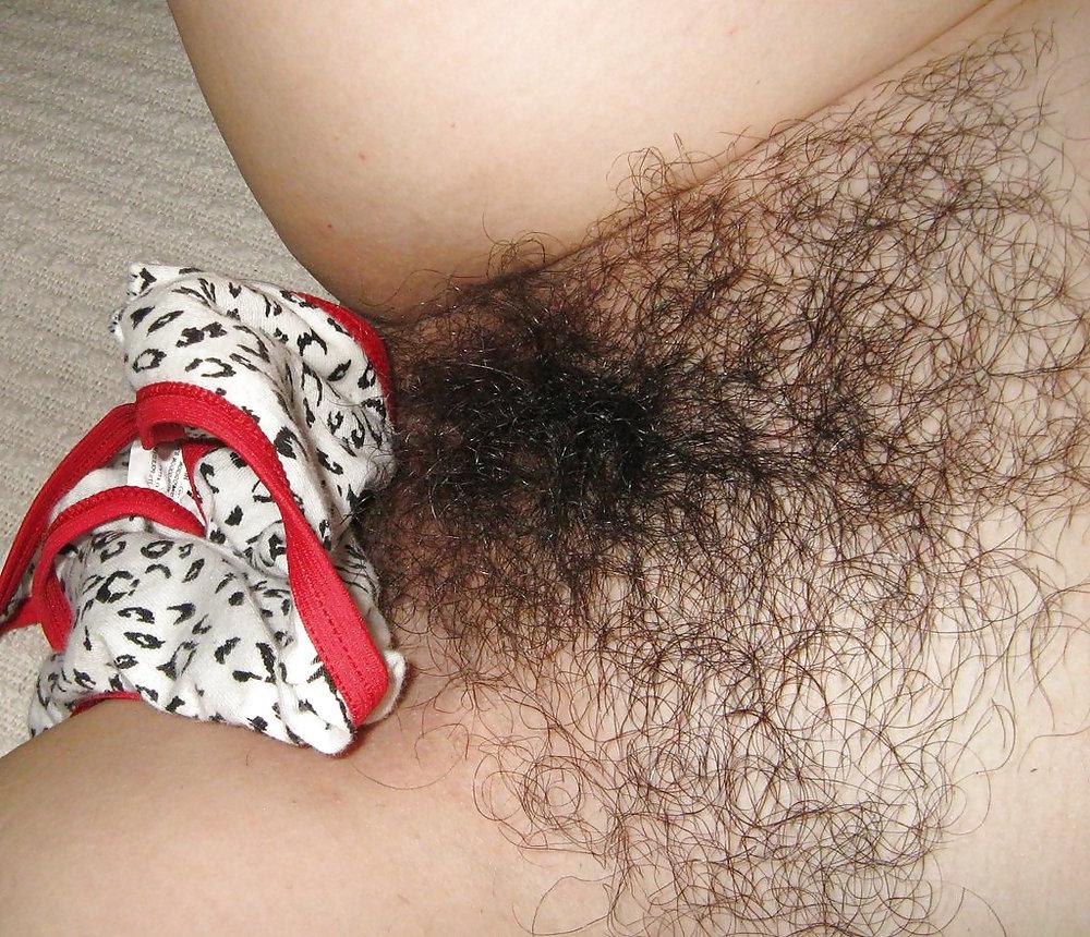 25P FIGA PELOSA 29 HAIRY PUSSY CONO PELUDO CHATTE POILUE