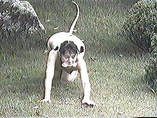 15P Found: bdsm 8 (walking the pet)