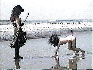 15P Found: bdsm 8 (walking the pet)