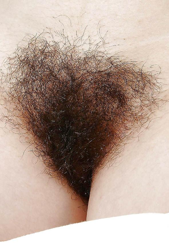 25P FIGA PELOSA NATURALE 10 NATURAL HAIRY PUSSY 10 CONO PELUDO