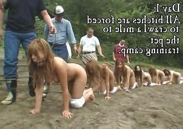 20P Pet Training School Captions 01